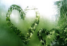 开云官网-大连人对抗沙特球队，全情投入亚冠决战