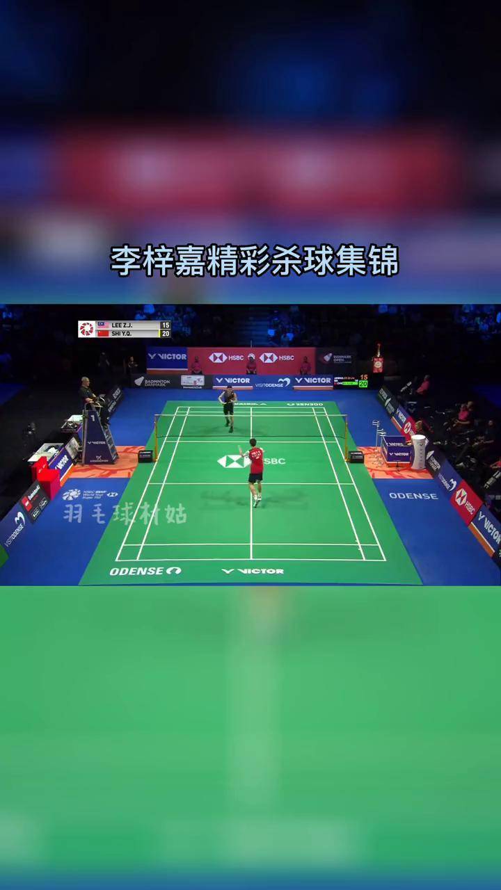 关于印度队翻盘丹麦队，李梓嘉惊艳四座的信息