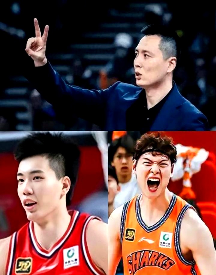 广州队横扫四川队，王哲林惊艳四座