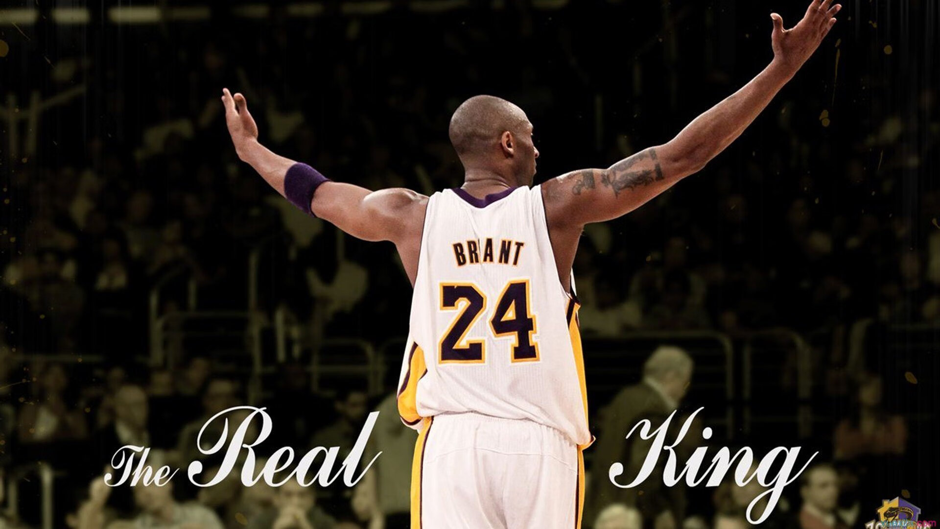 锡安关键时刻封神!尼克斯加时鏖战力克黄蜂